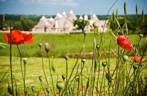 Talu Trulli Il Castagno Martina Franca Itaalia