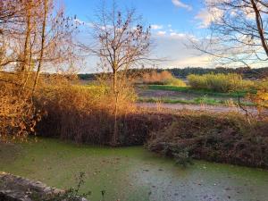 Villas Chateau de Liviere : photos des chambres