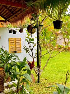 The Hidden Oasis Bungalows