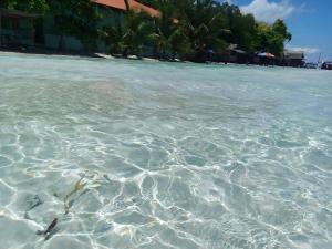 Magics Place Beach Resort