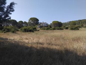 Charmant maset provençal