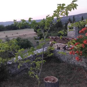 Maisons de vacances Charmant maset provencal : photos des chambres