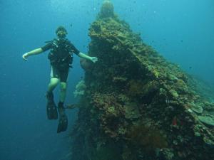 Dhita Bila Dive & Bungalows