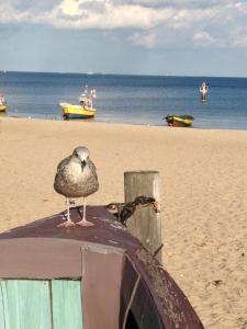 Sopot Beach House