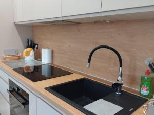 Apartment Omaro Rijeka