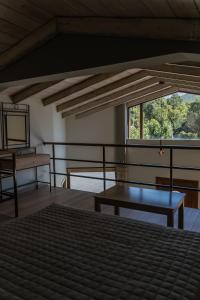 LOTOS Families Αpartments 1