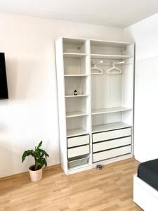 Modern, large 1-R apartment in a central location