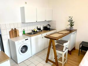 Modern, large 1-R apartment in a central location