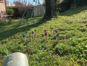Maisons de vacances Gite climatise a 15 min de Lyon avec jardin prive : photos des chambres
