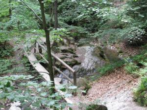 Cozy Family Home in Sprimont