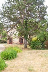 Maisons de vacances Naumad - Guest House : photos des chambres