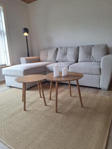 Hel villa med fri parkering centralt beliggende