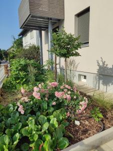 Ferienwohnung Mona Lisa