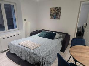 Appartements Nid du Paon - T2 Hypercentre : photos des chambres