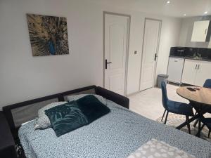 Appartements Nid du Paon - T2 Hypercentre : photos des chambres