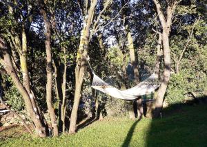 Villas Les Terrasses a Gordes : photos des chambres