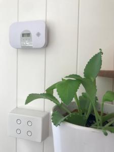 Bee Farm Off-Grid Tiny Home Stay