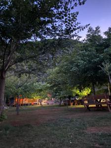 Bujtina Liqeni i Shkopetit