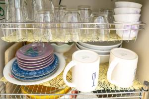 Kabukicho 507-SJ0011