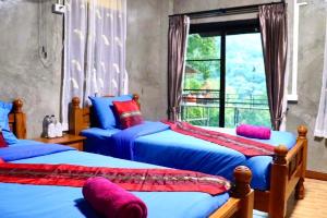 บ้านต้นไม้แม่กำปอง Baan TONMAI MAEKAMPONG