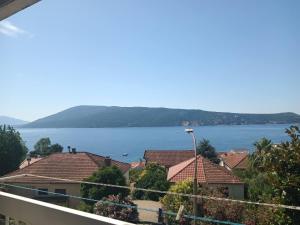 apartman Darija Savina