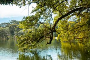 Lake Whispering Home - Bathtub - Breakfast - Lake Path
