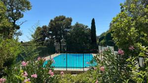 Appartements Studio cosy avec piscine : photos des chambres