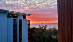 PINEA Apartments tuż przy plaży - baseny, sauny, jacuzzi