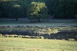 Domaine de Muscapeau