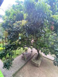 Hotel Tree Land Lodge and Cottage