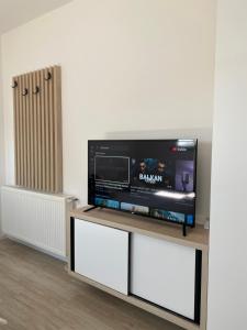 Apartman Milena Temerin