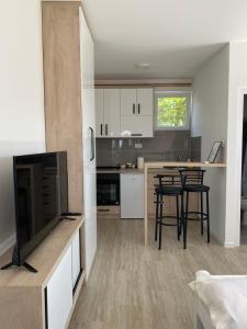 Apartman Milena Temerin