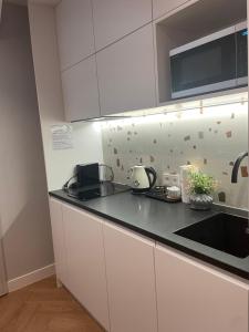 Luxury Apartments Gdansk