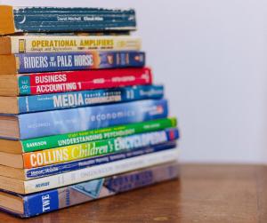 Ngicha 1BDR APT, Dar es Salaam - Boko