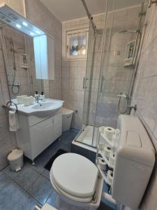 Appartment Selce Milan & Staka