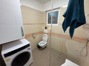 Koper apartma okolica