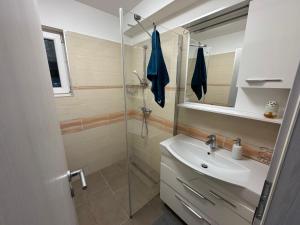 Koper apartma okolica
