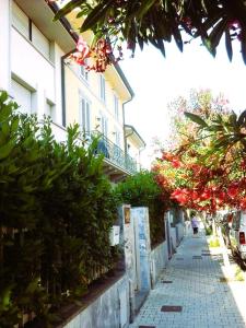 Viareggio central Home - near the sea