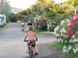 Camping La Pépinière