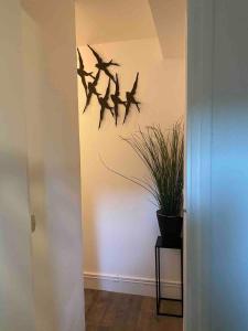Appartements Les bains le 23 : photos des chambres
