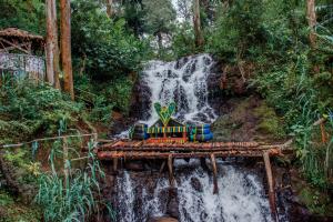 Avocado Kilimanjaro Homes