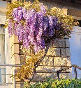 Appartements Le Birdie - Maison & Jardin a proximite de Chantilly : photos des chambres