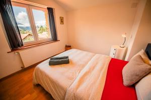 Villa en plein cœur de Leysin