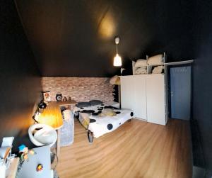 Maisons de vacances Large family home between Paris in Disneyland, with swimming-pool : photos des chambres