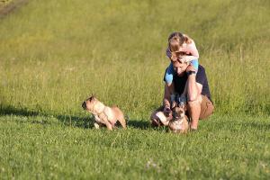 Rustic Cottage Rental in the Countryside for a Holiday in Slovenia