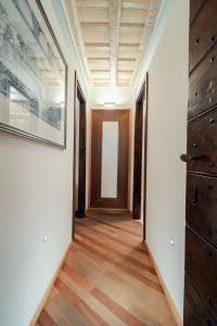 Majorelle comfy apartment