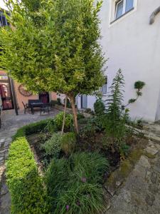 Ferienwohnungen Familie Stier