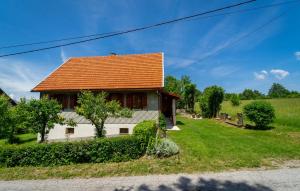 Gorgeous Home In Ravna Gora With Wifi