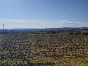 Villas Sunny Villa Retreat in Uzes : photos des chambres
