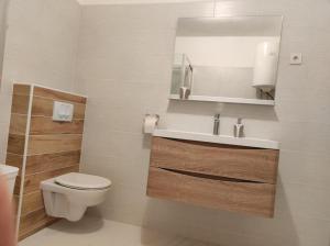 Apartment Duje Dazlina